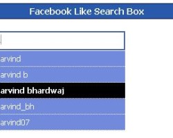 FaceBook Like Search-Box with Jquery