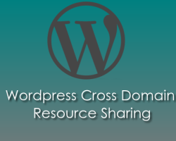 WordPress Allow Cross Domain Resources – An easy guide